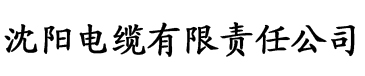 天堂在线入口免费电缆厂logo